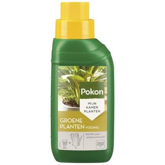 1 Nourriture Végétale Verte 250 ML