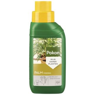 Nourriture pour plantes palmier 250ML