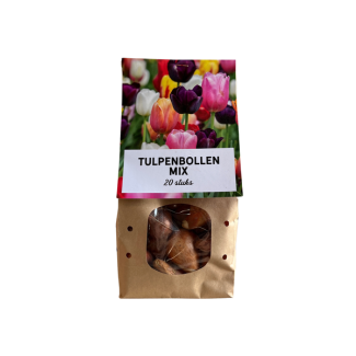300 bulbes de tulipes, mélange de tulipes ! 15 sachets avec 20 bulbes de tulipes, bulbes de fleurs de couleurs diverses