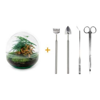 Terrarium de plantes à faire soi-même - Dôme rouge - Hauteur 20 cm - Inclus râteau, pelle, pince à épiler et ciseaux