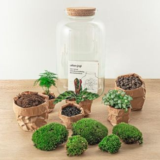Terrarium à construire - Pot botanique XL - 43 x 23 cm - Avec plantes et accessoires