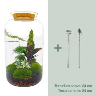 Terrarium à construire - Pot botanique XL - 43 x 23 cm - Avec plantes et accessoires incluant un râteau et une pelle