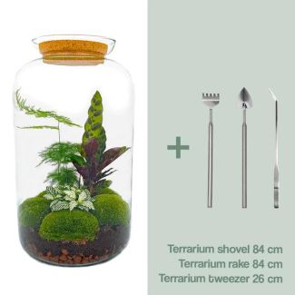 Terrarium à construire : Apportez un biotope autosuffisant chez vous avec un râteau, une pelle et une pince