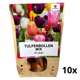 200 pièces Mélange de Tulipes – 20 Bulbes à Fleurs dans 10 Sachets – Floraison Printanière Colorée