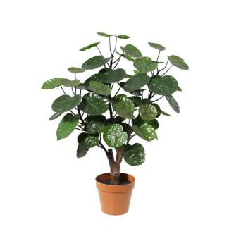 Plante artificielle Polyscias Fabian 55 cm