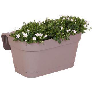 Bac à balcon taupe avec 3 pièces de campanule, Couleur blanche, plante de jardin, Plantes de balcon, Bac à fleurs rempli, Campanule Addenda Ambella blanche