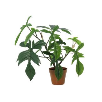 Philodendron Florida artificiel