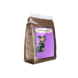 Super Premium Excellent – Nourriture pour chiens pressée de haute qualité pour une santé optimale