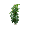 Monstera Pertusum XL in Elho Vibes jazz Round Ø30 wit