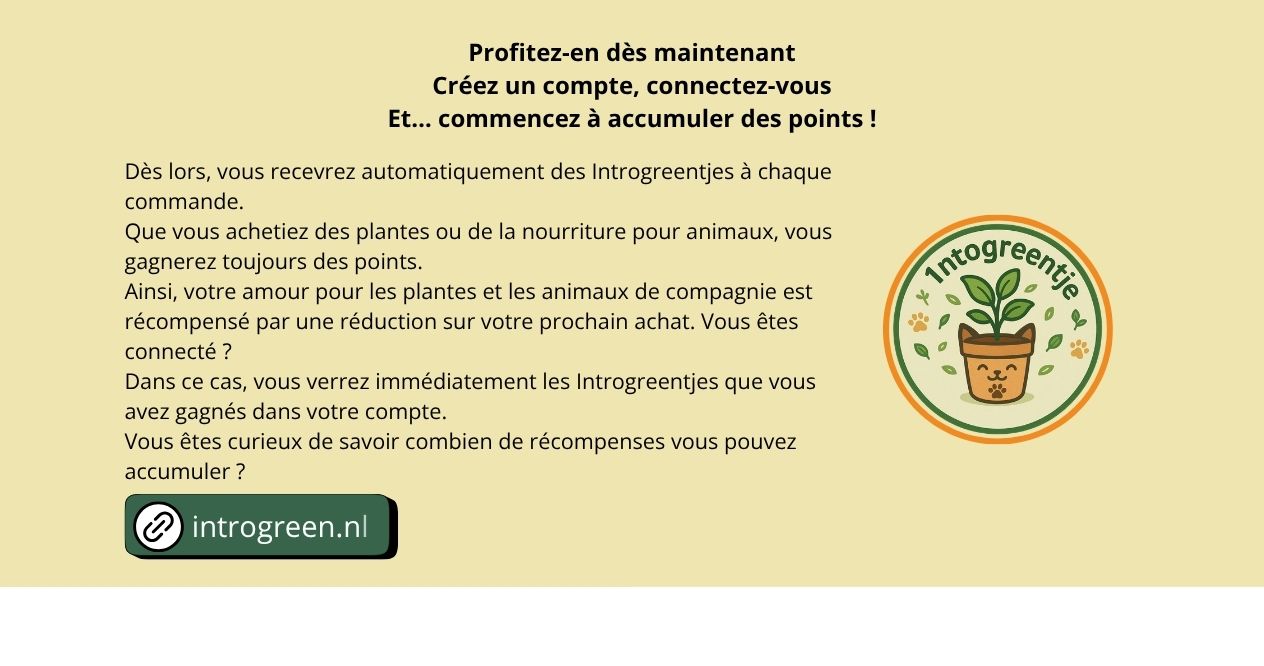 introgreen points Earn Introgreen Points with Every Order