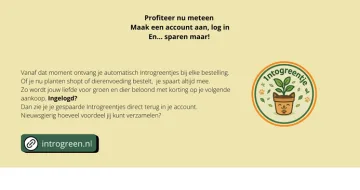 introgreen points Earn Introgreen Points with Every Order